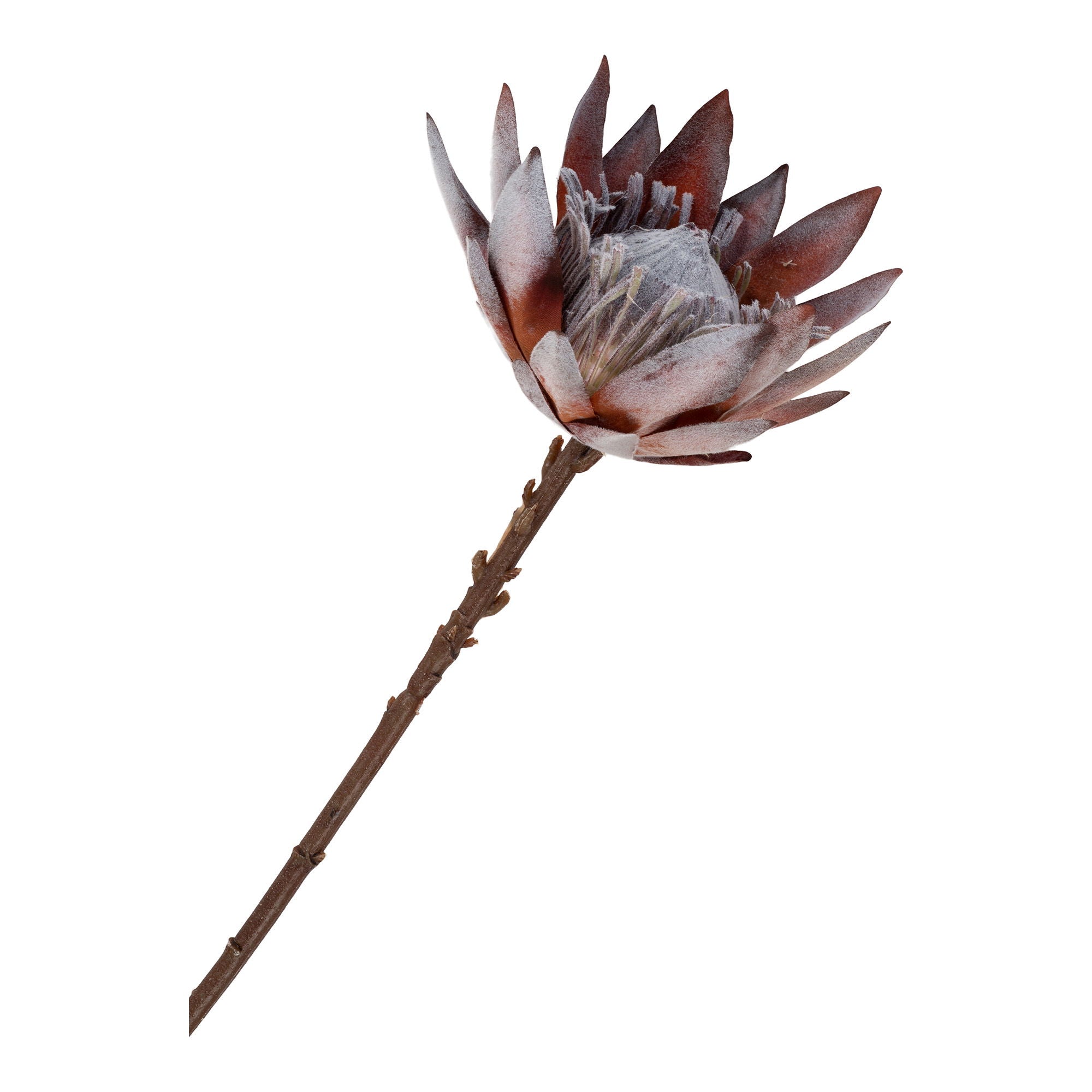 King Protea – Kunstblumenstrauß, Rosé-Mix, 75 cm